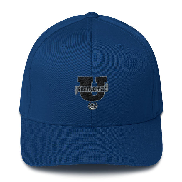 Positive State "U Logo" Structured Twill Cap - positivestateapparel