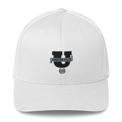 Positive State "U Logo" Structured Twill Cap - positivestateapparel