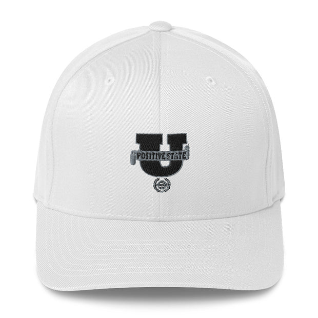 Positive State "U Logo" Structured Twill Cap - positivestateapparel