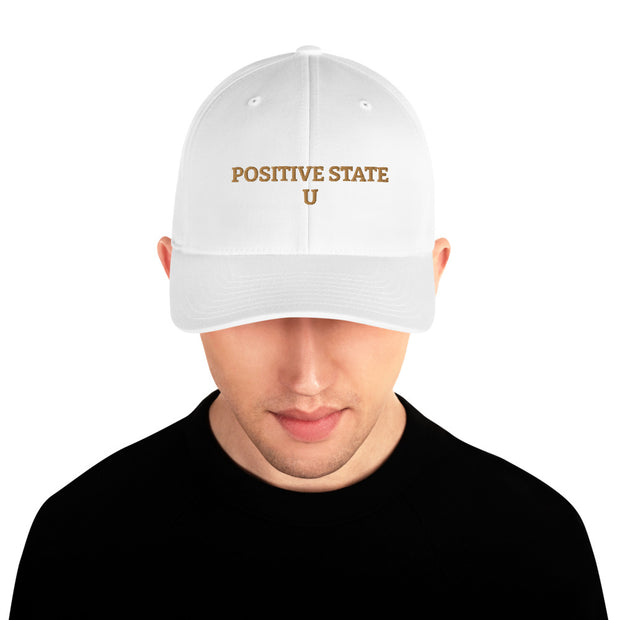 Positive State U letter  Structured Twill Cap - positivestateapparel