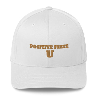 Positive State U Structured Twill Cap - positivestateapparel
