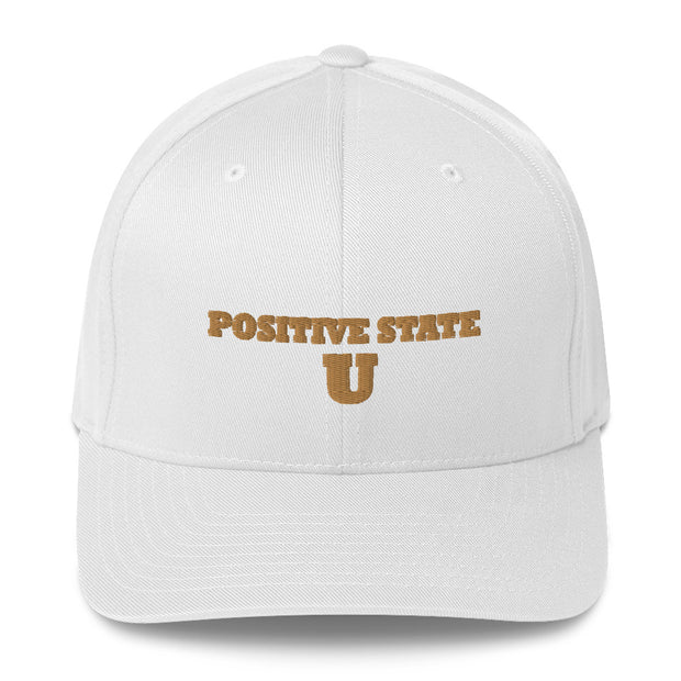 Positive State U Structured Twill Cap - positivestateapparel