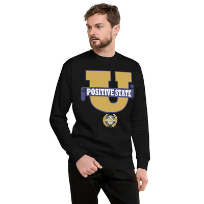 Positive State Unisex men or woman Fleece Pullover - positivestateapparel